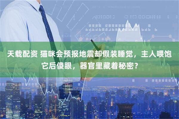 天载配资 猫咪会预报地震却假装睡觉，主人喂饱它后傻眼，器官里藏着秘密？