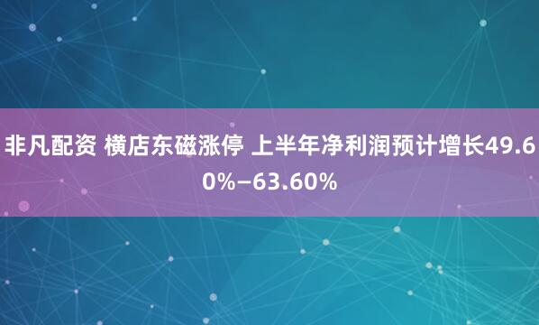 非凡配资 横店东磁涨停 上半年净利润预计增长49.60%—63.60%