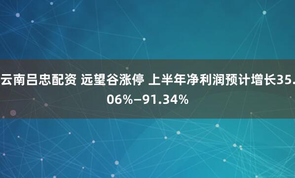 云南吕忠配资 远望谷涨停 上半年净利润预计增长35.06%—91.34%