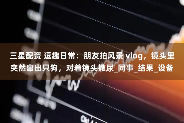 三星配资 逗趣日常：朋友拍风景 vlog，镜头里突然窜出只狗，对着镜头撒尿_同事_结果_设备